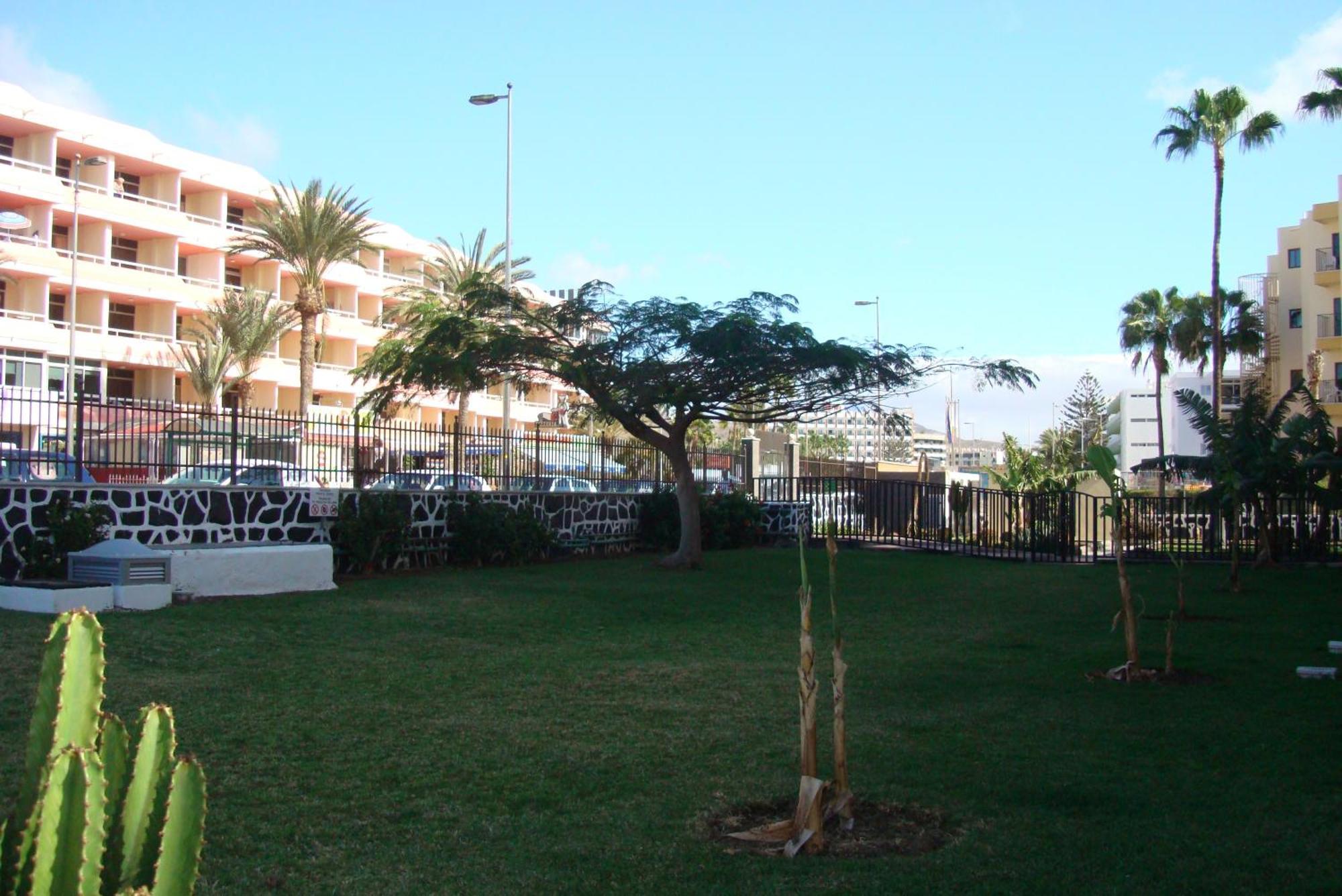 Los Cactus Playa del Inglés Exterior foto