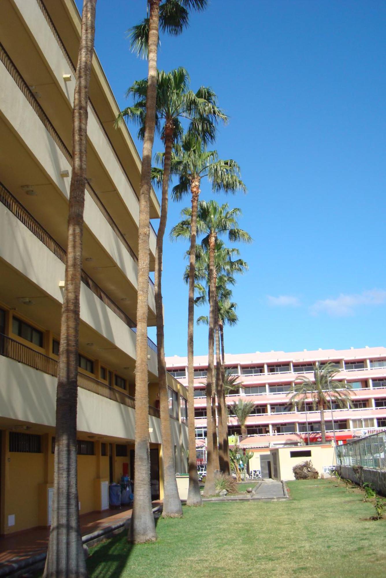 Los Cactus Playa del Inglés Exterior foto